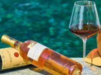 FARANDA SINGLE 1 PUNTA CANA (only adults 18+) 3*