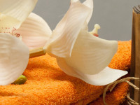 COLUMBIA WELLNESS SPA