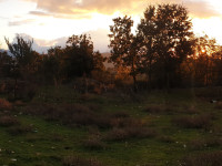 VILLA LAURA