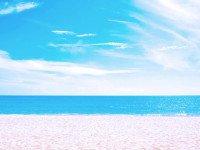 SEA LION BEACH RESORT & SPA