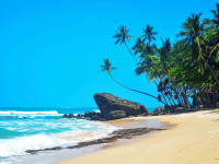 SAYURA BEACH HOTEL