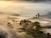 HANGING GARDENS OF BALI