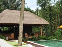 THE PURIST VILLAS AND SPA 4*