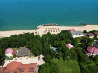 Делфиа / Delfia