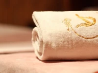 Elite Byblos Hotel (Mall Of The Emirates) 5*