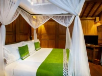 Arya Villas 4*