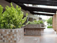 The Mangrove Hotel 3*