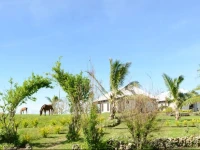 Namuka Bay Resort 2*