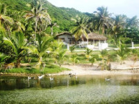 La Mami River Beach - Caribean House