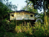 SunCampDR