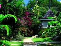 The Sandpiper 5*