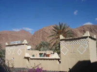 Palmeraie Guest House 