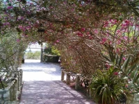 Le Calao du Lac Rose 