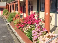 Comfort Inn Gold Rush 3*