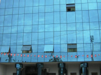 Donia