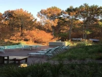 La Viuda De Jose Ignacio 4*