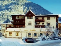 Arnika 3*