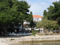 Dalmatino 2*