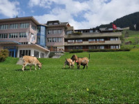 Hotel Alpina Adelboden