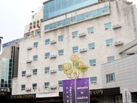 Hiddink Continental Tourist Hotel 3*