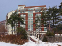 Coop Sweet House Pyeongchang