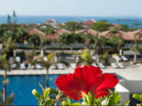 Kanucha Bay Hotel & Villas