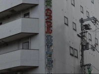 Hotel River Side Okayama 1*