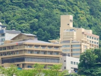 Naruko Kanko Hotel 5*