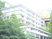 Hakone Yumoto Hotel 2*