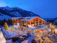 Hotel Alpina 