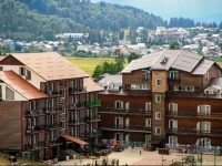 Mgzavrebi in Bakuriani Hotel  3*