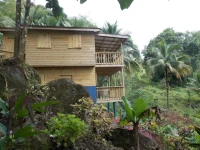 Roots Jungle Retreat 