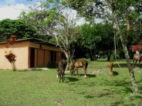Rancho Wendy 2*