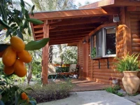Naomi House - B & B 