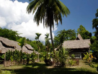 The Wild Orchid Resort