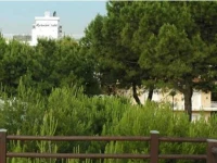 Miramare 3*