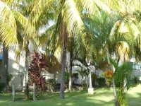 Le Grand Bleu Hotel 3*