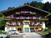 Haus Alpenland 3*