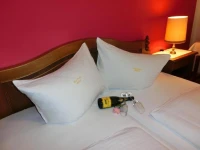 Hotel Posthof 3*