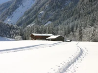 Hotel Gasthof Siggen 3*