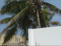 Karibu Aruba