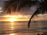 Tropical Sunset Beach Apartment Hotel  3*