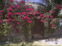 Pousada Praia Das Conchas