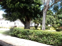 Hotel Tavares Correia 4*