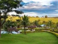 Hotel Thermas Bonsucesso 4*