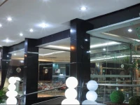 Da Vinci Hotel & Conventions 4*