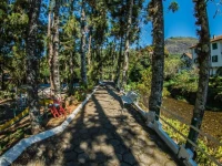 Hotel Bucsky 4*