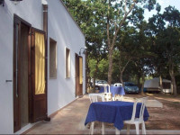 Villaggio Camping Bosco Selva