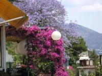 Hotel Locanda Dei Fiori 3*
