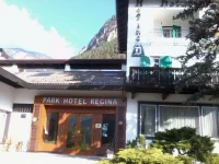Hotel Regina delle Dolomiti 3*